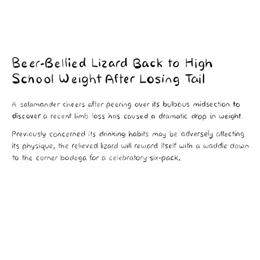 Beer-Bellied Lizard Back to High School Weight After Losing Tail