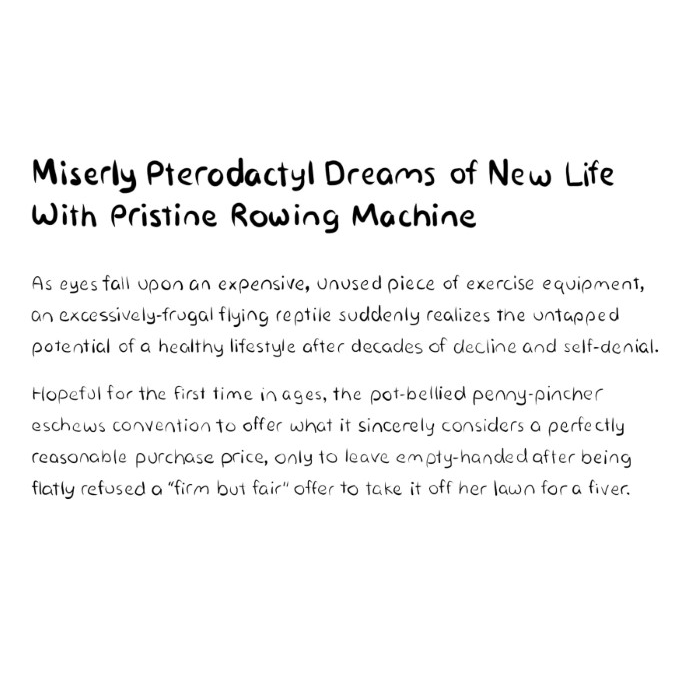 Miserly Pterodactyl Dreams Of New Life With Pristine Rowing Machine