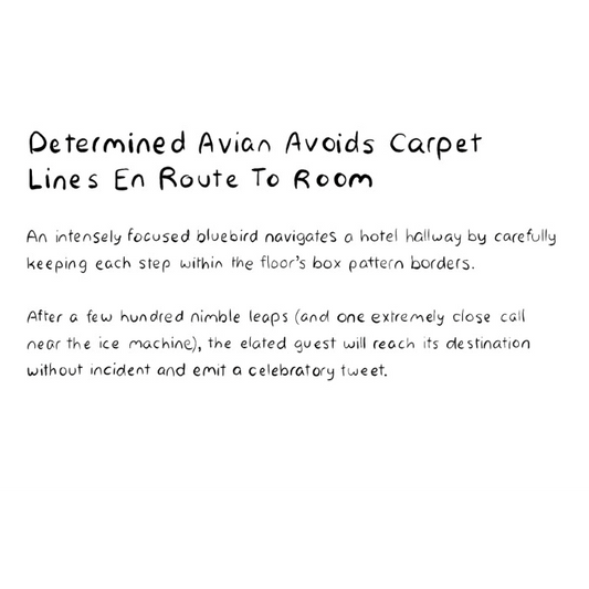 Determined Avian Avoids Carpet Lines En Route To Room