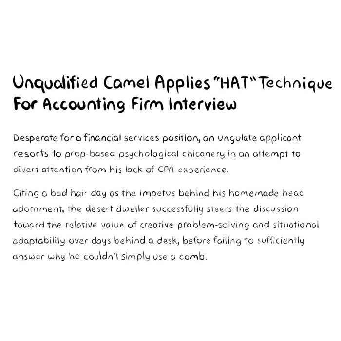Unqualified Camel Applies "HAT" Technique For Accounting Firm Interview