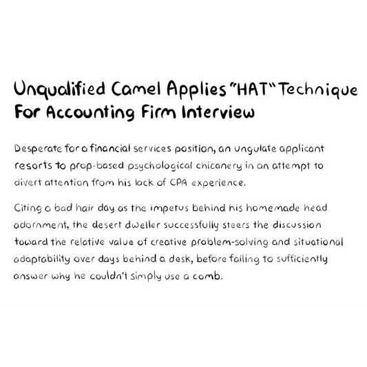 Unqualified Camel Applies "HAT" Technique For Accounting Firm Interview