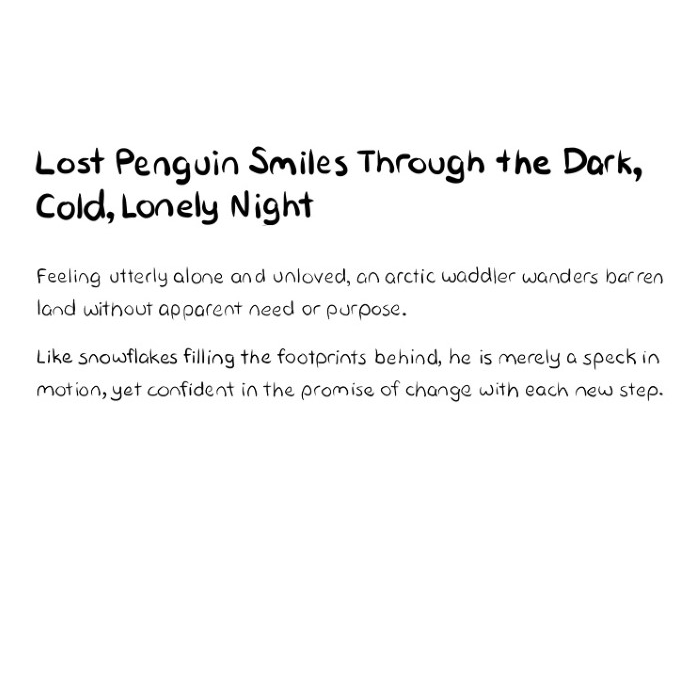 Lost Penguin Smiles Through The Dark, Cold, Lonely Night