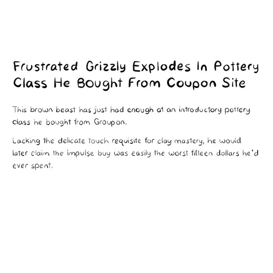 Frustrated Grizzly Explodes In Pottery Class He Bought From Coupon Site