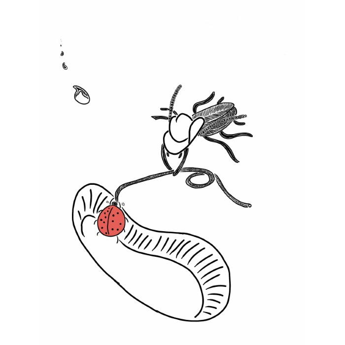 Cowboy Cockroach Rescues Inebriated Ladybug Trapped In Snowy Footprint