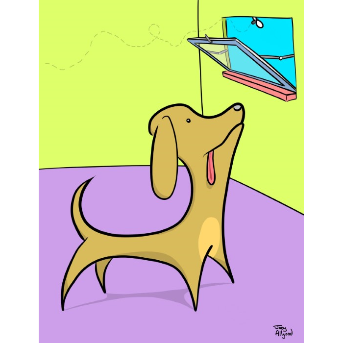 Dachshund Spends Thursday Afternoon Trying To Eat Tiny Flying Thing