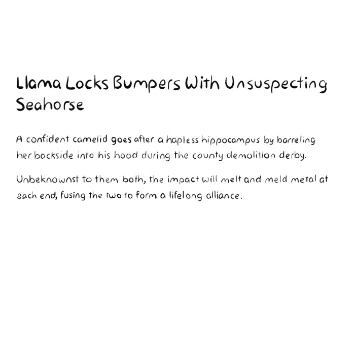 Llama Locks Bumpers With Unsuspecting Seahorse
