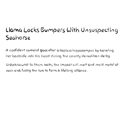 Llama Locks Bumpers With Unsuspecting Seahorse
