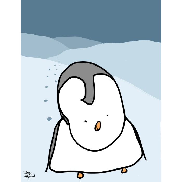 Lost Penguin Smiles Through The Dark, Cold, Lonely Night