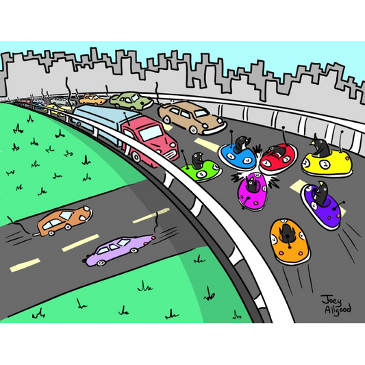 Penguins In Bumper Cars Cause Massive Traffic Jam