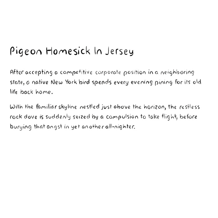 Pigeon Homesick In Jersey