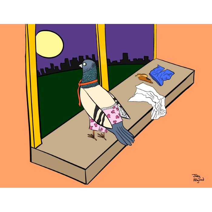 Pigeon Homesick In Jersey