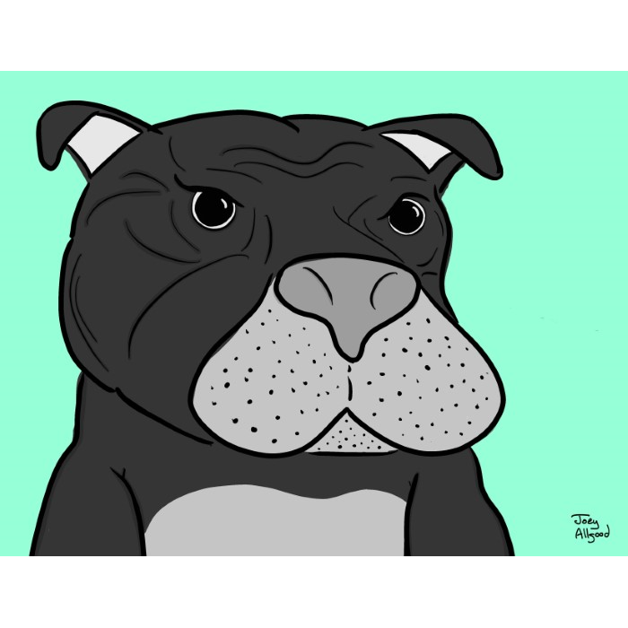 Pit Bull Bummed About Resting Bitch Face