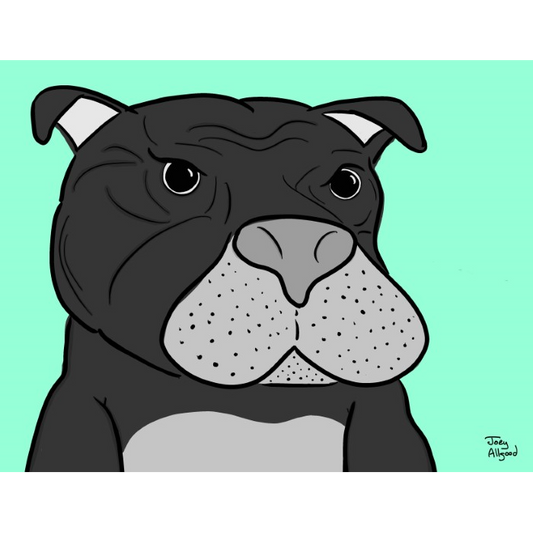 Pit Bull Bummed About Resting Bitch Face