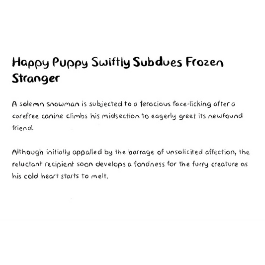 Happy Puppy Swiftly Subdues Frozen Stranger