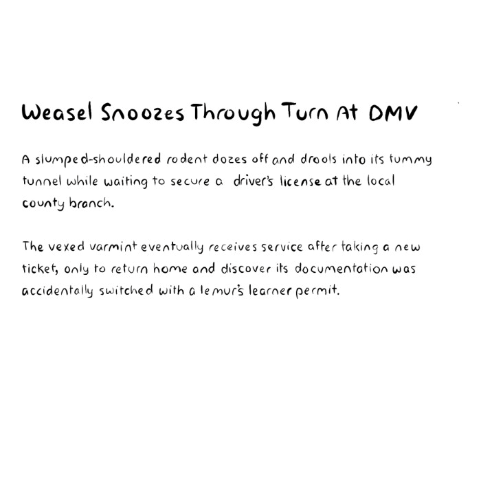 Weasel Snoozes Through Turn At DMV
